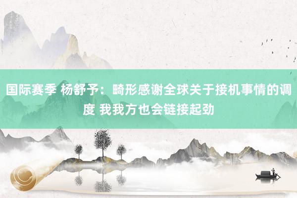 国际赛季 杨舒予：畸形感谢全球关于接机事情的调度 我我方也会