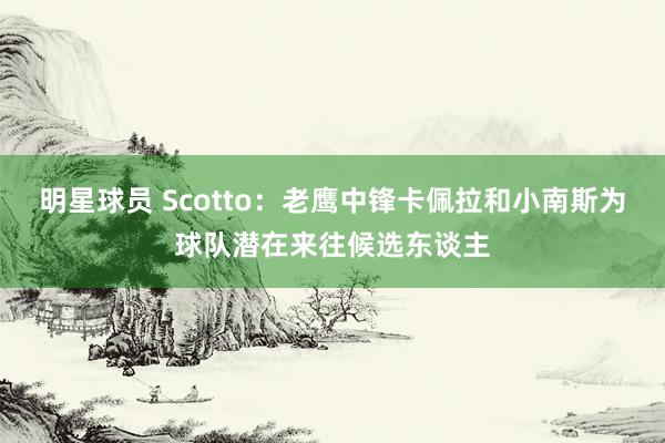 明星球员 Scotto：老鹰中锋卡佩拉和小南斯为球队潜在来往